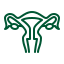 Gynecology and Obstetrics