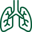 respiratory